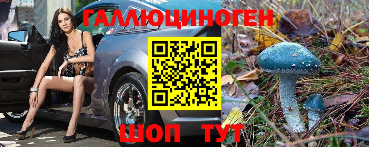 Рассказово  Галлюциногенные грибы мухоморы  где купить наркоту  Вход с VPN 